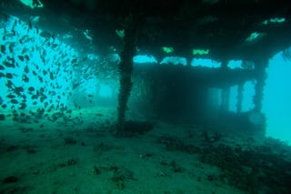 Scuba Diving Destin Shipwreck