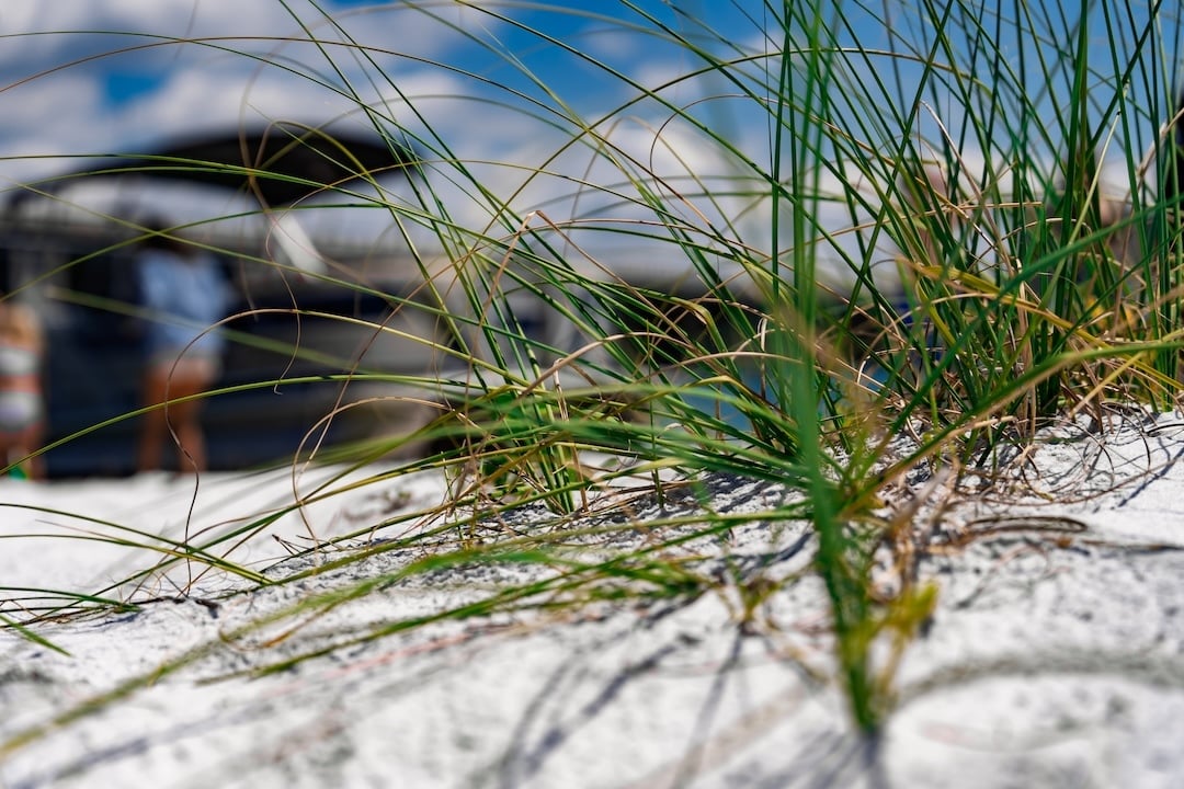 sand and shrubs on spectre island in santa rosa sound
